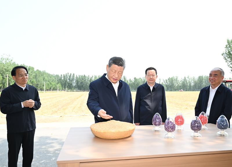 足彩网